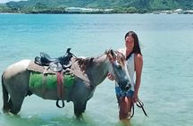 Maimon Beach Horseback Riding Adventure for Cruise Ship Passenger