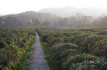 Hangzhou West Lake Bike Tour: How China Turn Nature into Art