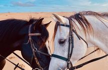 Agadir Beach Horse Riding Experience with Tea Break