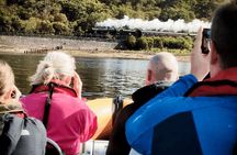 1 Hour Loch Safari Tour in Fort William