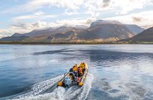 1 Hour Loch Safari Tour in Fort William