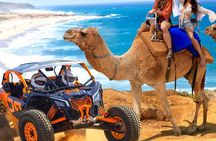NEW!! Camel Ride and UTV Combo with Tequila Tasting Los Cabos