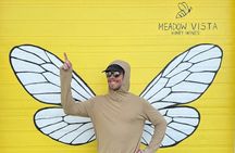 Kelowna E-Bike Bee Tour, Tastings, Organic Lunch & Audio Guide