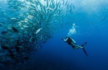 double diving