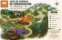 MONTEVERDE CONSERVATION EXPERIENCE : community and regeneration