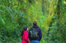 MONTEVERDE CONSERVATION EXPERIENCE : community and regeneration