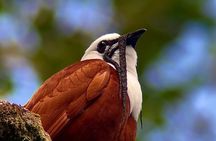 MONTEVERDE CONSERVATION EXPERIENCE : community and regeneration