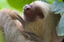 Guided Tour in Manuel Antonio National Park Without Ticket