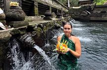 Ubud Tour with Monkey Sanctuary, Rice Terrace and Holy Spring