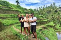 Ubud Tour with Monkey Sanctuary, Rice Terrace and Holy Spring