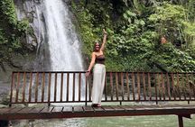 Ubud Tour with Monkey Sanctuary, Rice Terrace and Holy Spring