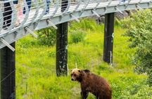 Glacier Cruise and Wildlife Discovery from Anchorage