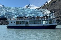 Glacier Cruise and Wildlife Discovery from Anchorage