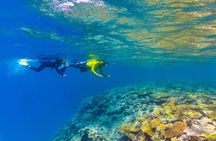 Great Barrier Reef Cruise from Townsville or Magnetic Island