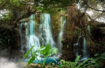 Chiang Mai Dantewada Land Bamboo Rafting and Waterfall Tour