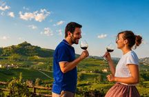 Florence: Chianti Wine Tour & San Gimignano with 2 Wineries
