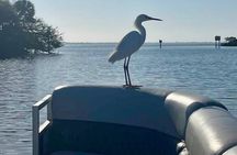 2 Hr Guaranteed Dolphin, Melbourne, ,Cocoa Beach.1030 am