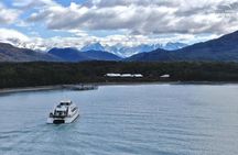 Patagonia Most Scenic Navigation to Balmaceda & Serrano Glaciers