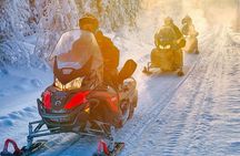 Rovaniemi: Snowmobile Wilderness Tour, Small Group & Local Guide