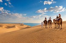 Private Qatar Desert Safari with Inland Sea, Camel Ride & 4x4