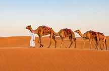 Private Qatar Desert Safari with Inland Sea, Camel Ride & 4x4