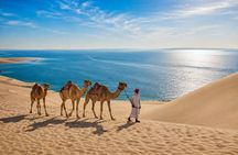 Private Qatar Desert Safari with Inland Sea, Camel Ride & 4x4