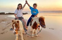 Agadir Beach Horse Riding Experience with Tea Break