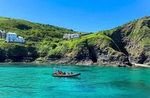 1 Hour Sea Safari RIB Boat Trip