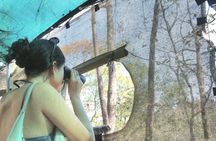 Private Macaw Birdwatching at Guacamayas Reserve
