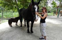 Jungle Adventure Tour ATV Zipline Cenote swim with Horse ridding