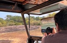 3-Hour Private Yala Safari with Luxury Double Room & Breakfast