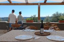 Discover Abruzzo: Winery Tour and Wine Tasting with Meal