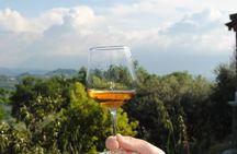 Winery Tour and Tasting in Abruzzo