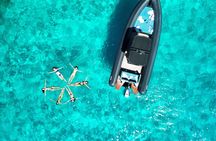 Dolphin watching tour in Luxury inflatable boat with skipper