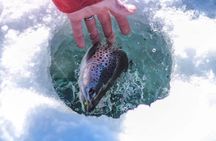 Dog Sled and Ice Fishing Combo Experience in Willow Alaska