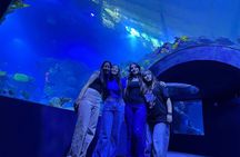 AquaFoz VIP: Premium Guided Experience