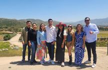Private Premium Wine Tour with Michelin Guide Lunch: All Included