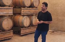 Private Premium Wine Tour with Michelin Guide Lunch: All Included