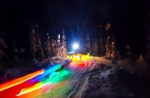 Moonlight Dog Sled Adventure with Dinner in Willow Alaska