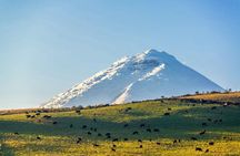 Full-Day Cotopaxi: Volcano, Jose Rivas Refuge and Limpiopungo.