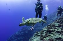 double diving