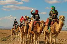 Agafay Desert Sunset Dinner with Camel Ride & Moroccan Live Show