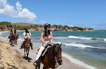 Vieques Horseback Riding with Isla Nena Trail Rides