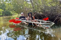 Clear Kayak Morning Tour in Anna Maria Island