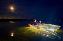 Night Glow Clear Kayak Adventure in Anna Maria Island