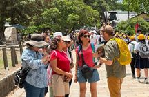Nara Private Tour in Spanish with pick up in Osaka or Kyoto