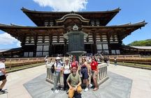 Nara Private Tour in Spanish with pick up in Osaka or Kyoto