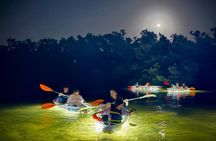 Night Glow Clear Kayak Adventure in Anna Maria Island