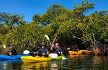 Noosa Heads: Epic Hidden Waterways & Wildlife Kayak Tour