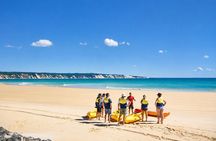 Noosa: Epic Private Tour - Double Island Point Day Adventure